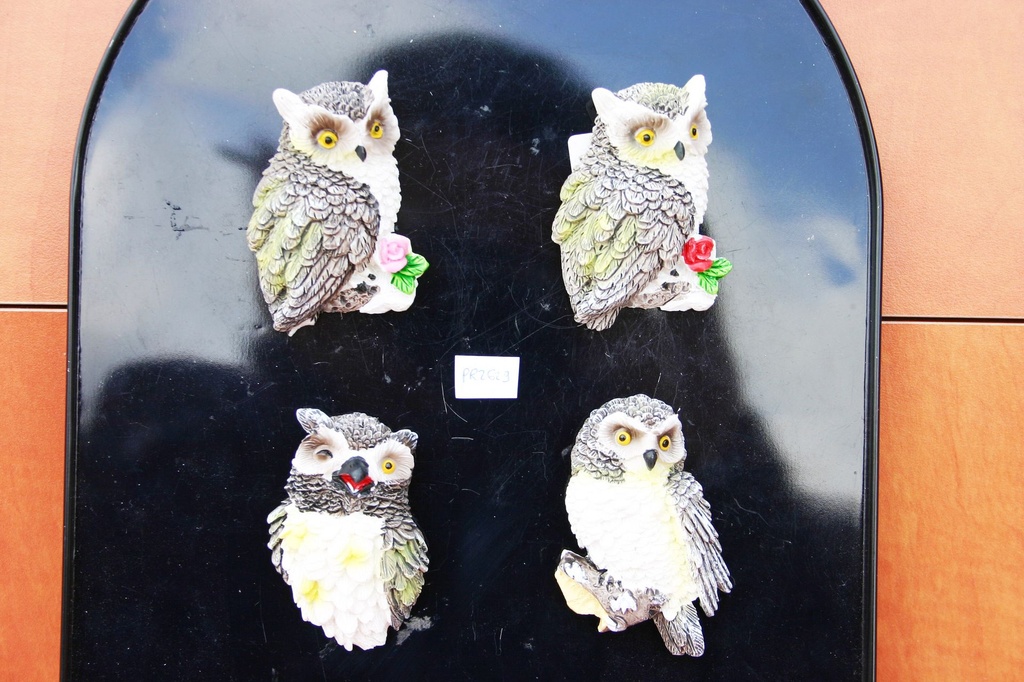 MAGNETE RESINA GUFO 4 MOD ASS.TI 