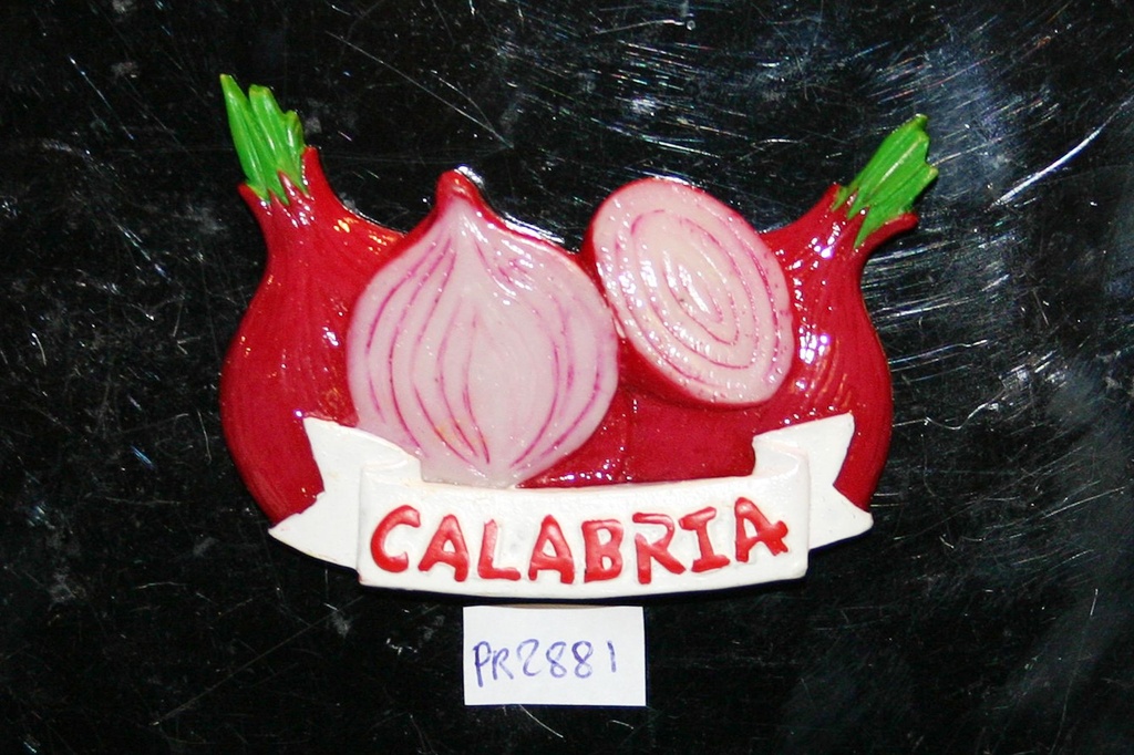 MAGNETE RESINA CIPOLLA CALABRIA 