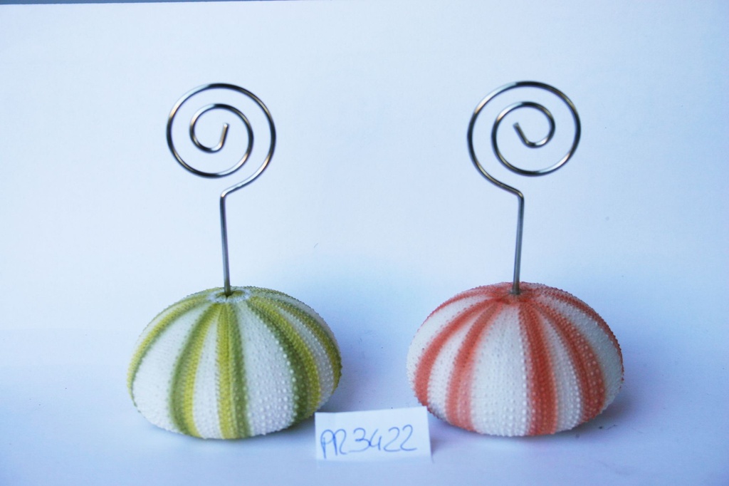 RICCIO MARINO RESINA 2 COL ASS 