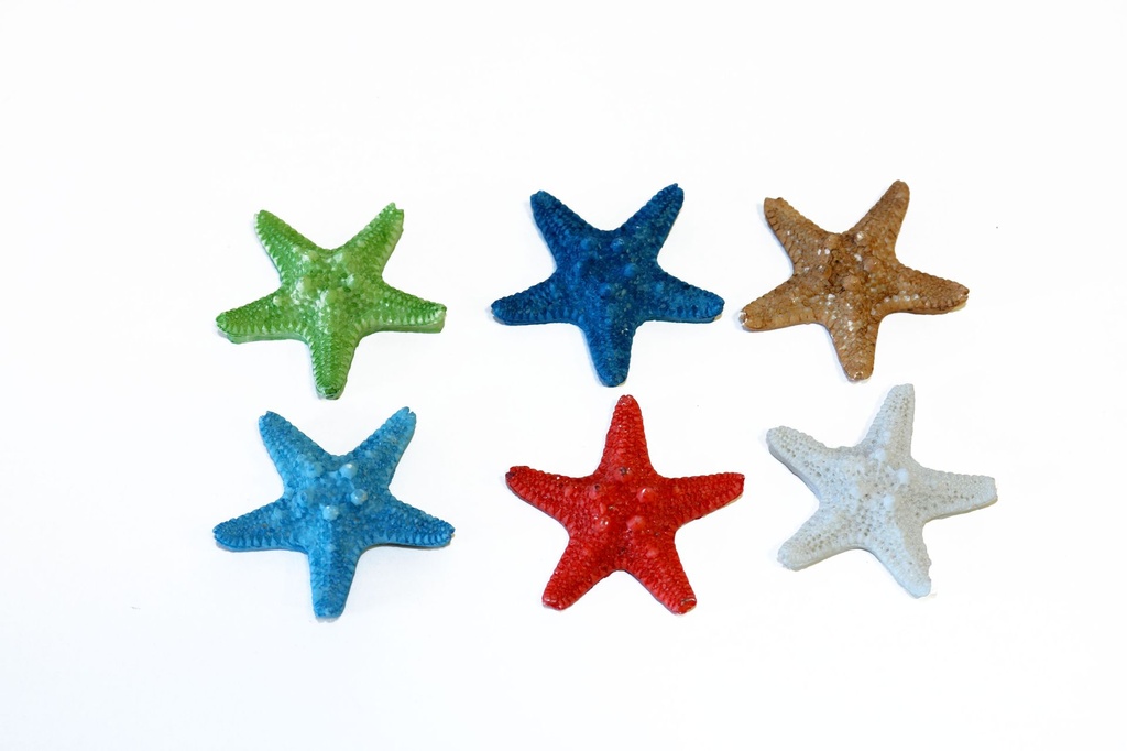 MAGNETE RESINA STELLA 4.5 CM COL ASS 