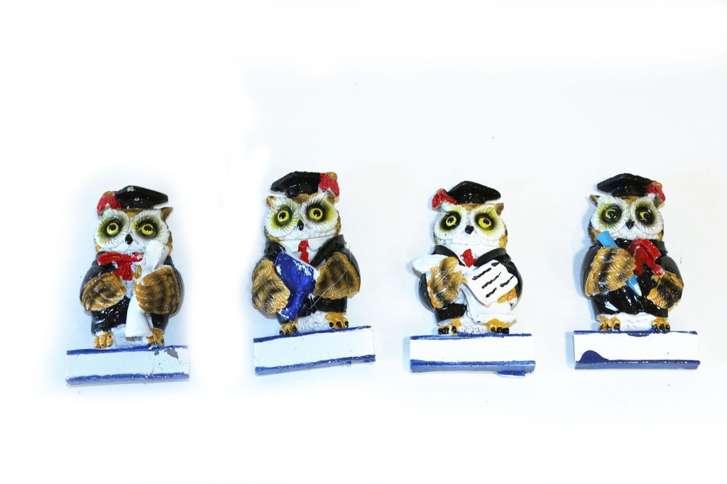 GUFI RESINA 6 CM 4 MOD 