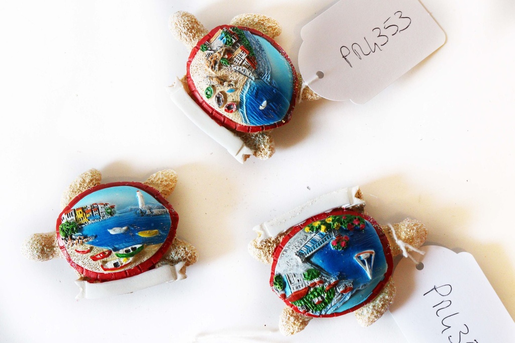 MAGNETE RESINA TARTARUGA C/VED+PERG 3MOD 