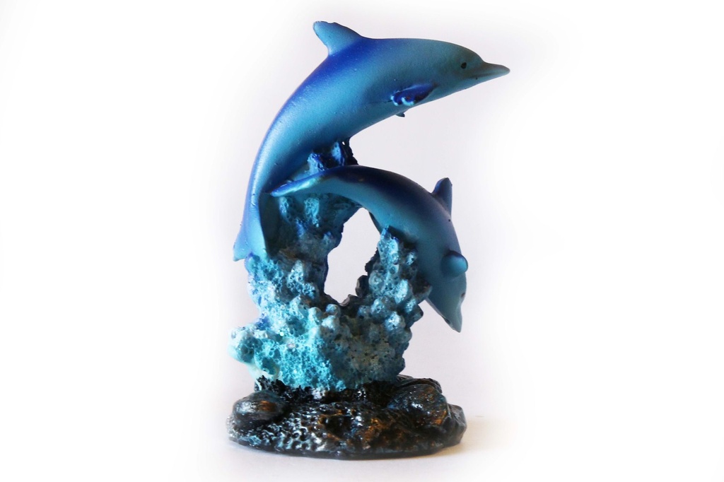 DELFINI RESINA SU RAMO 2 MOD ASS 