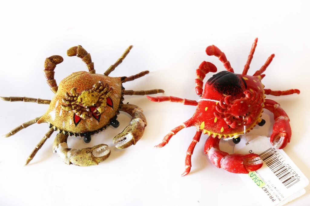 MAGNETE RESINA GRANCHIO ZAMPE 4 COL ASS 