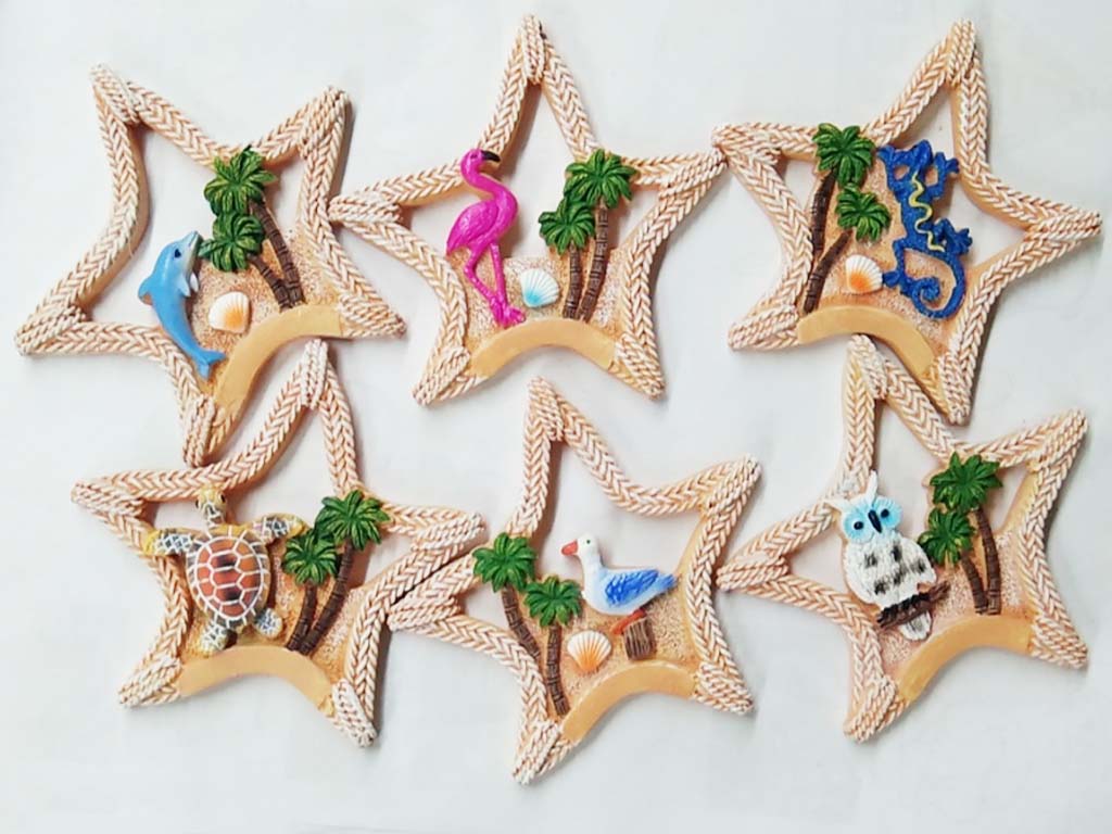 MAGNETE RESINA STELLA 6 ASS 