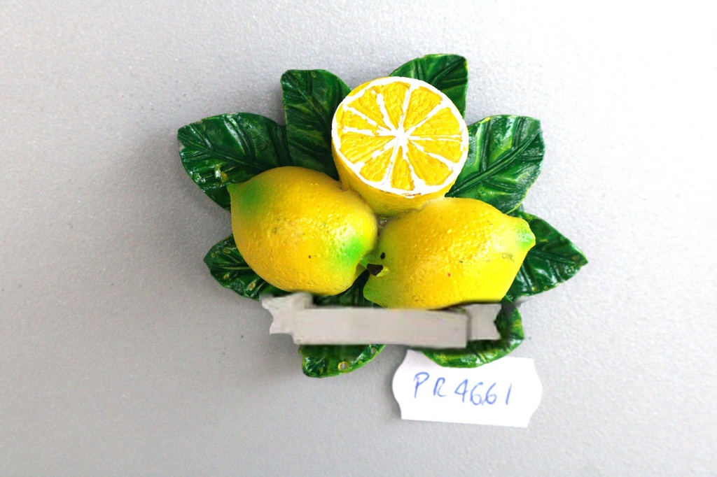 MAGNETE RESINA LIMONI 