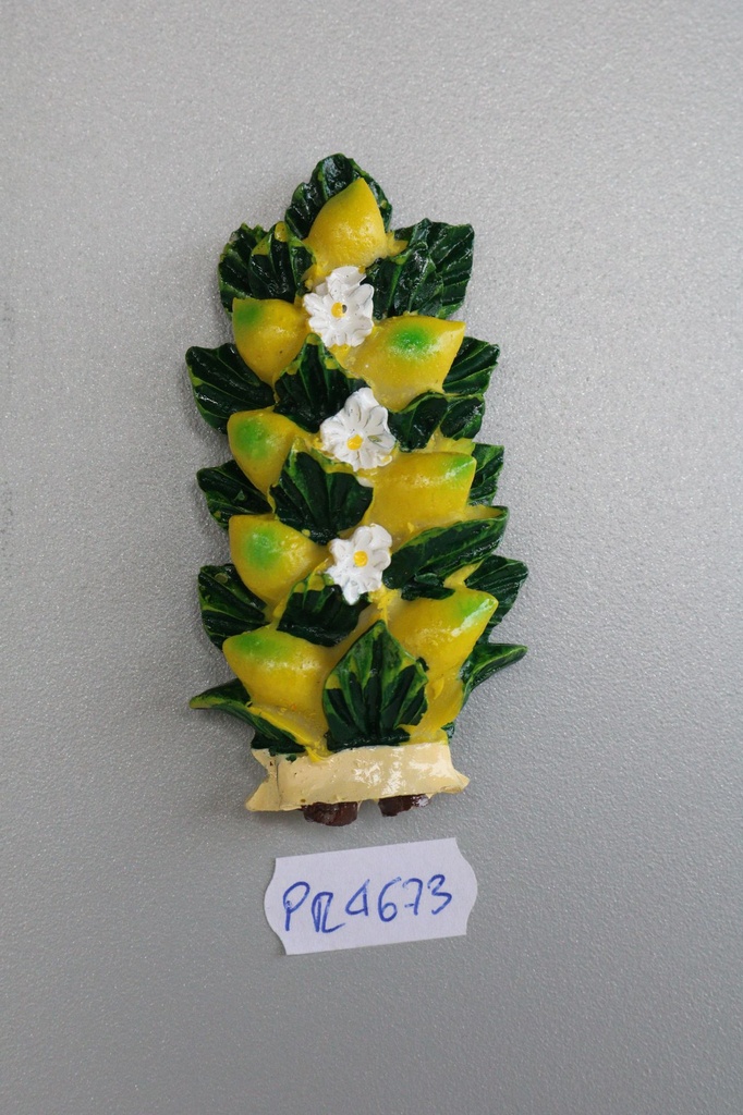 MAGNETE RESINA LIMONI 