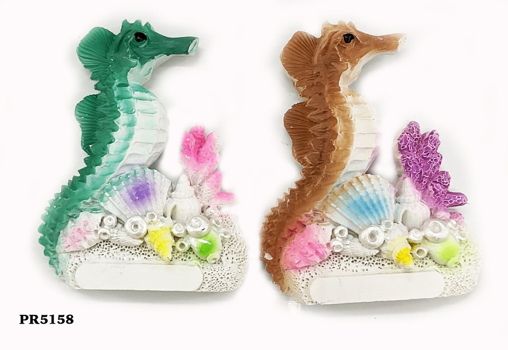 MAGNETE RESINA CALLUCCIO 2 COL ASS 