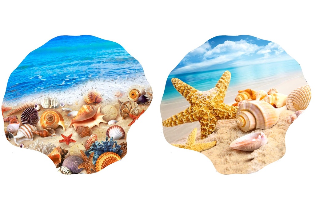 PIATTO VETRO CONCHIGLIA CONCHIGLIE 