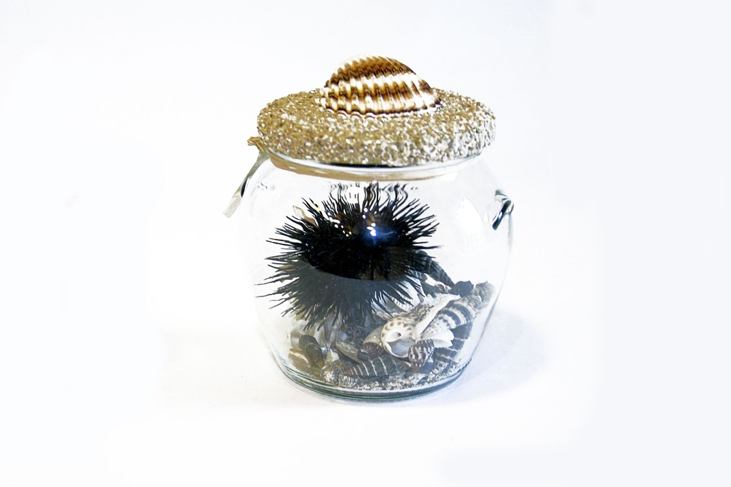 VASETTO VETRO C/DECORO CONCH E CONCHIGLIE 