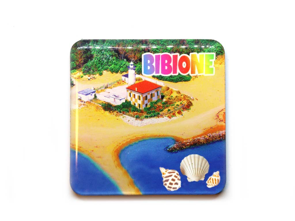 MAGNETE EPOXY QUADRATO BIBIONE C/CONCH 