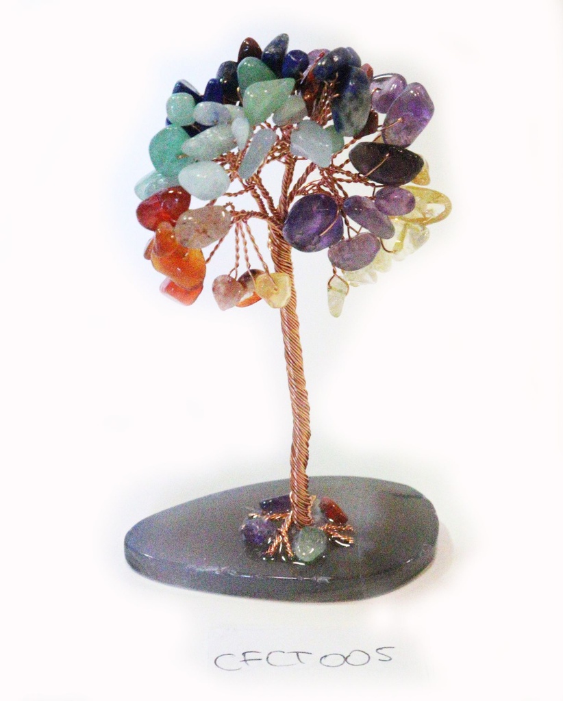 ALBERELLO BASE FATTA A CASA C/CHIPS PIETRE 